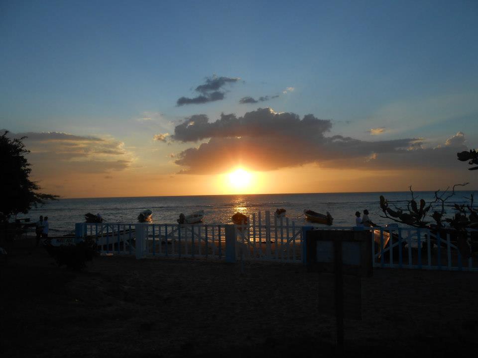 טרזר ביץ' Waikiki Guest House מראה חיצוני תמונה