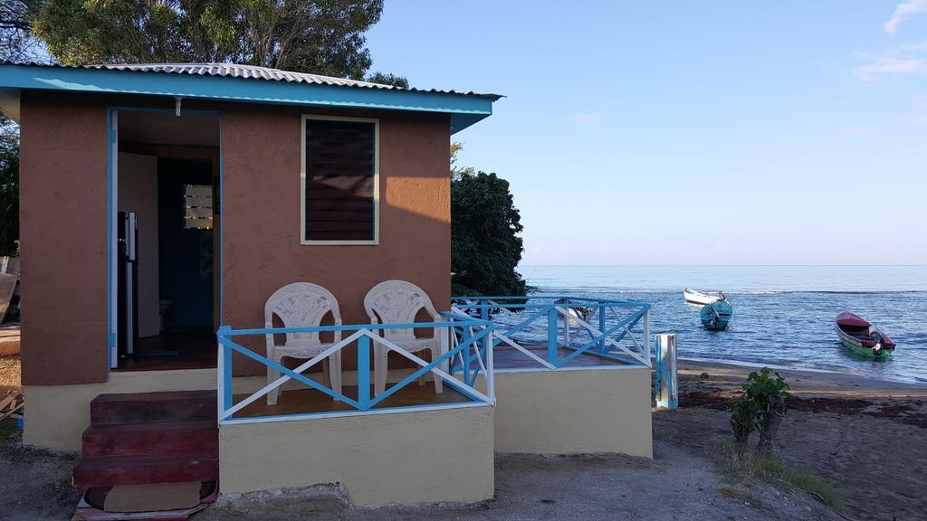טרזר ביץ' Waikiki Guest House מראה חיצוני תמונה