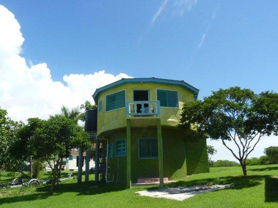 טרזר ביץ' Waikiki Guest House מראה חיצוני תמונה