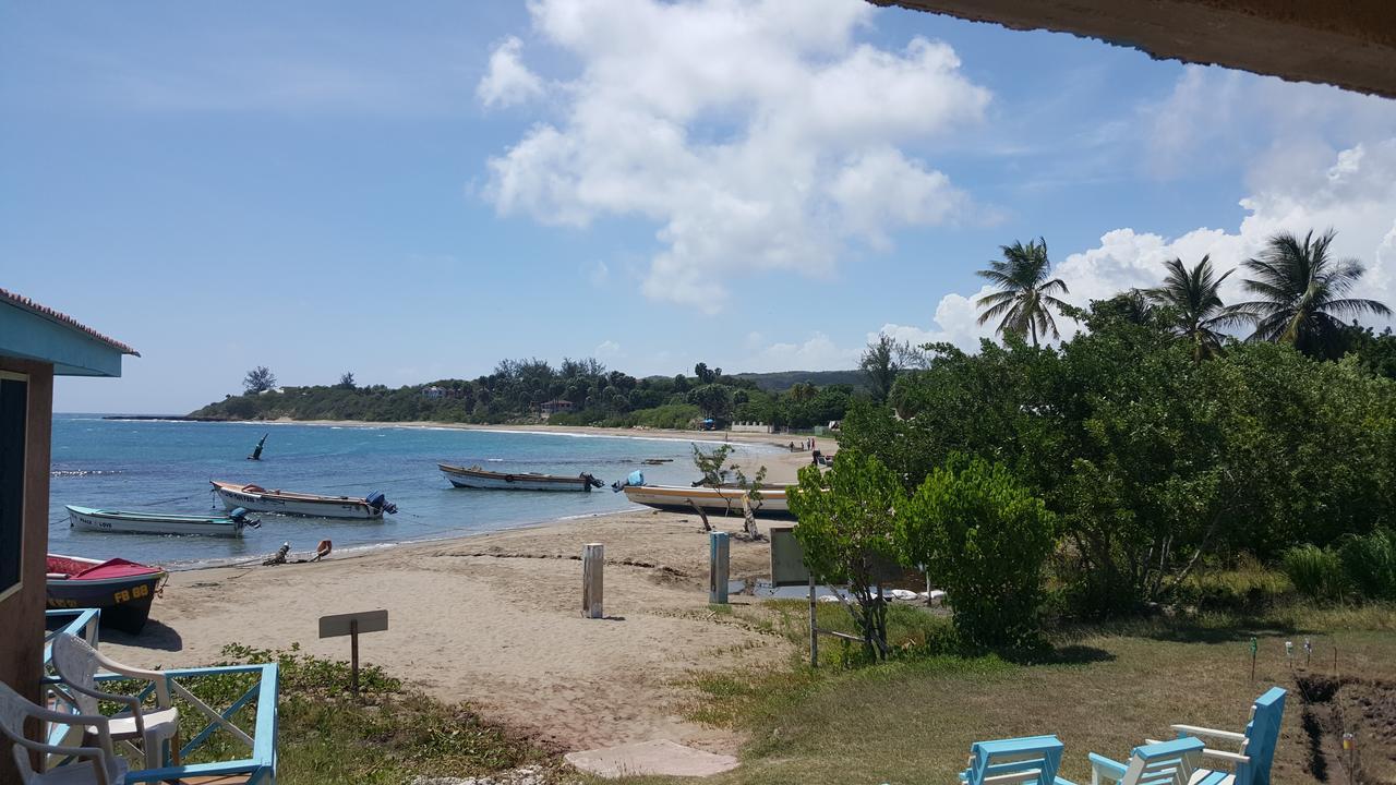 טרזר ביץ' Waikiki Guest House מראה חיצוני תמונה
