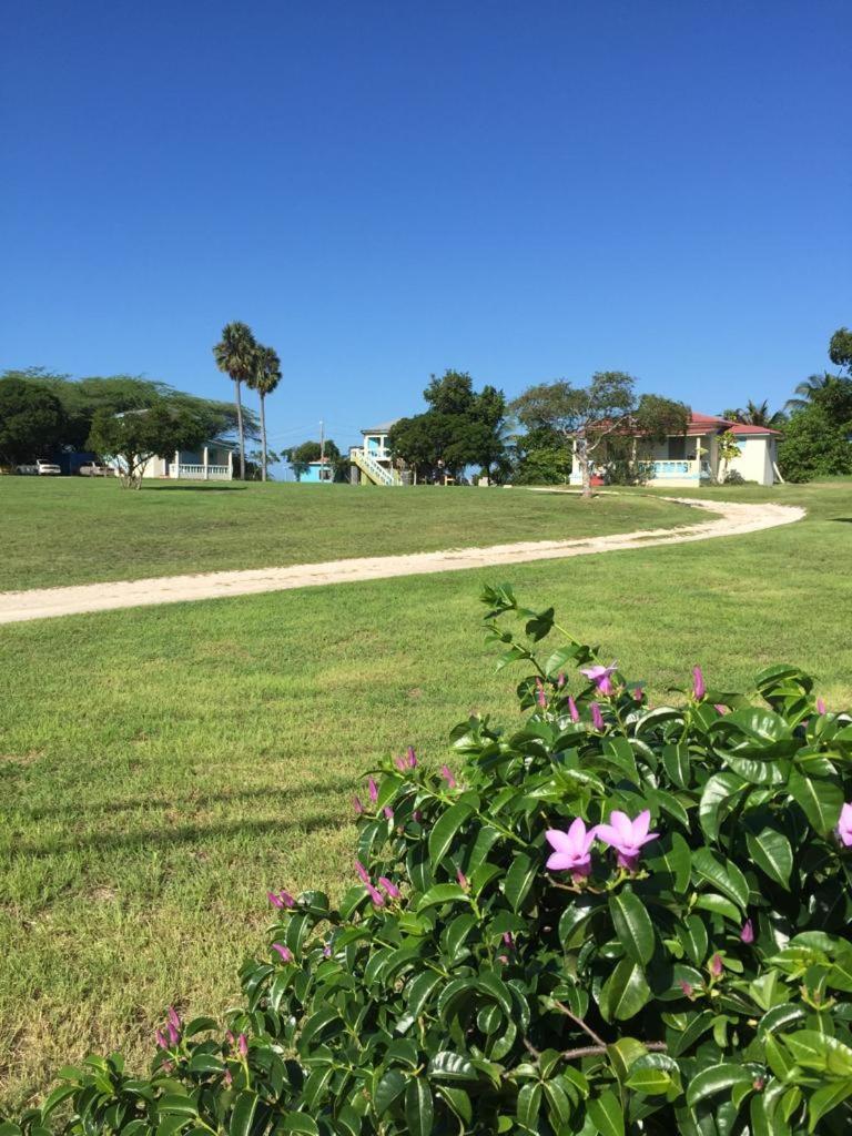 טרזר ביץ' Waikiki Guest House מראה חיצוני תמונה