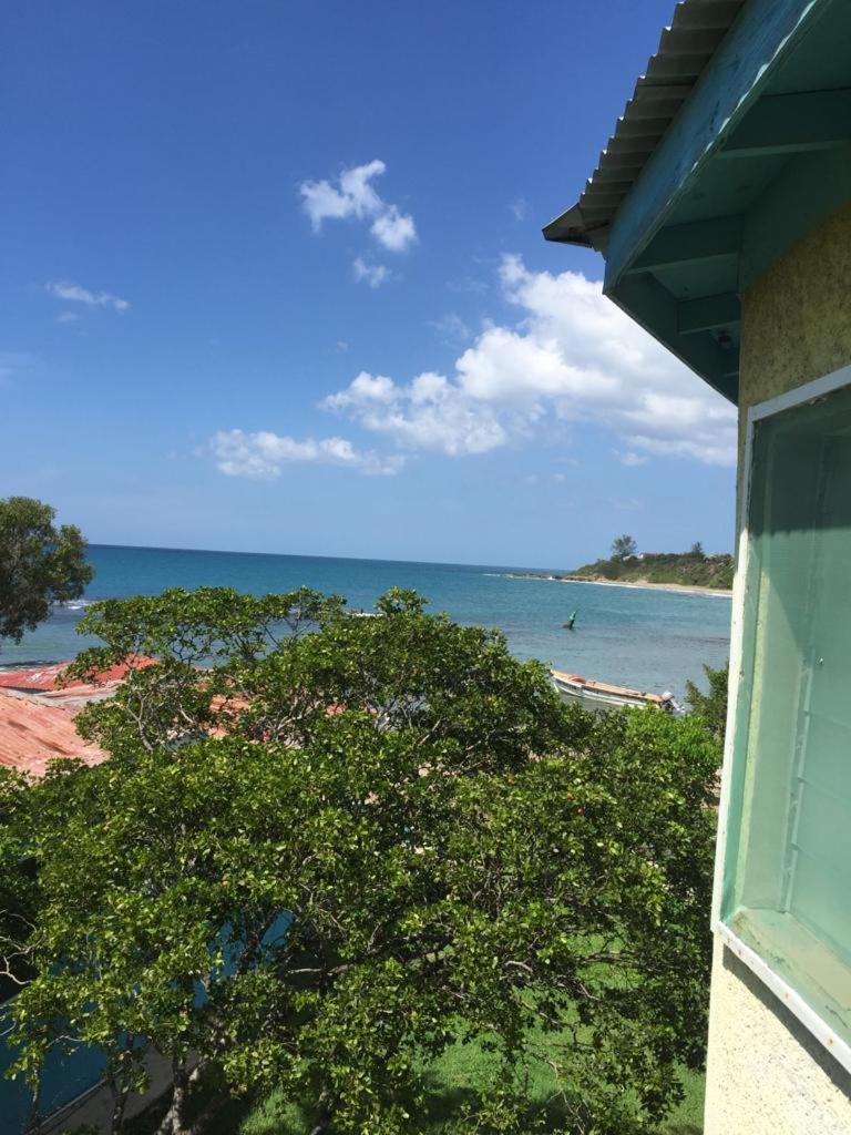 טרזר ביץ' Waikiki Guest House מראה חיצוני תמונה